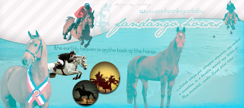 ● FANDANGO horses // summer